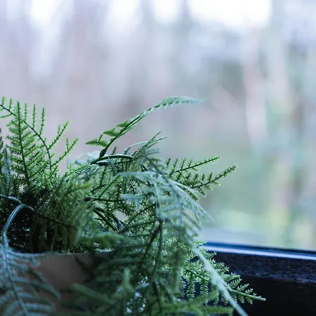 Деревянный коттедж Drumhierny Woodland Hideaway *